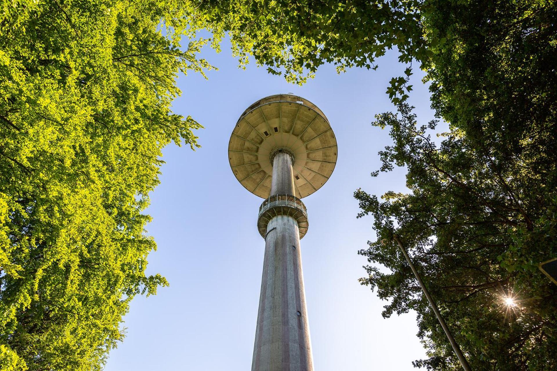 Ferienhaus Am Moenchneversdorfer See Schonwalde am Bungsberg 外观 照片